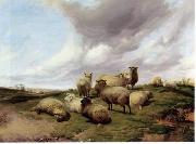 unknow artist Sheep 146 painting